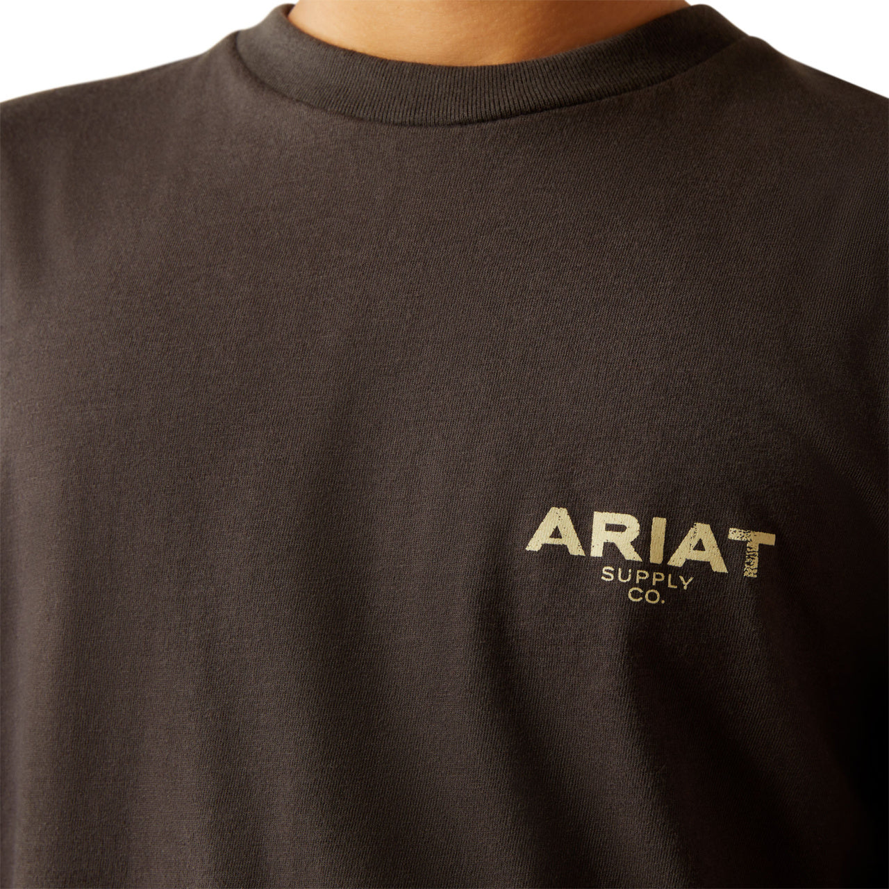 Ariat Boy's Explore Circle Short Sleeve Vintage Black T-Shirt