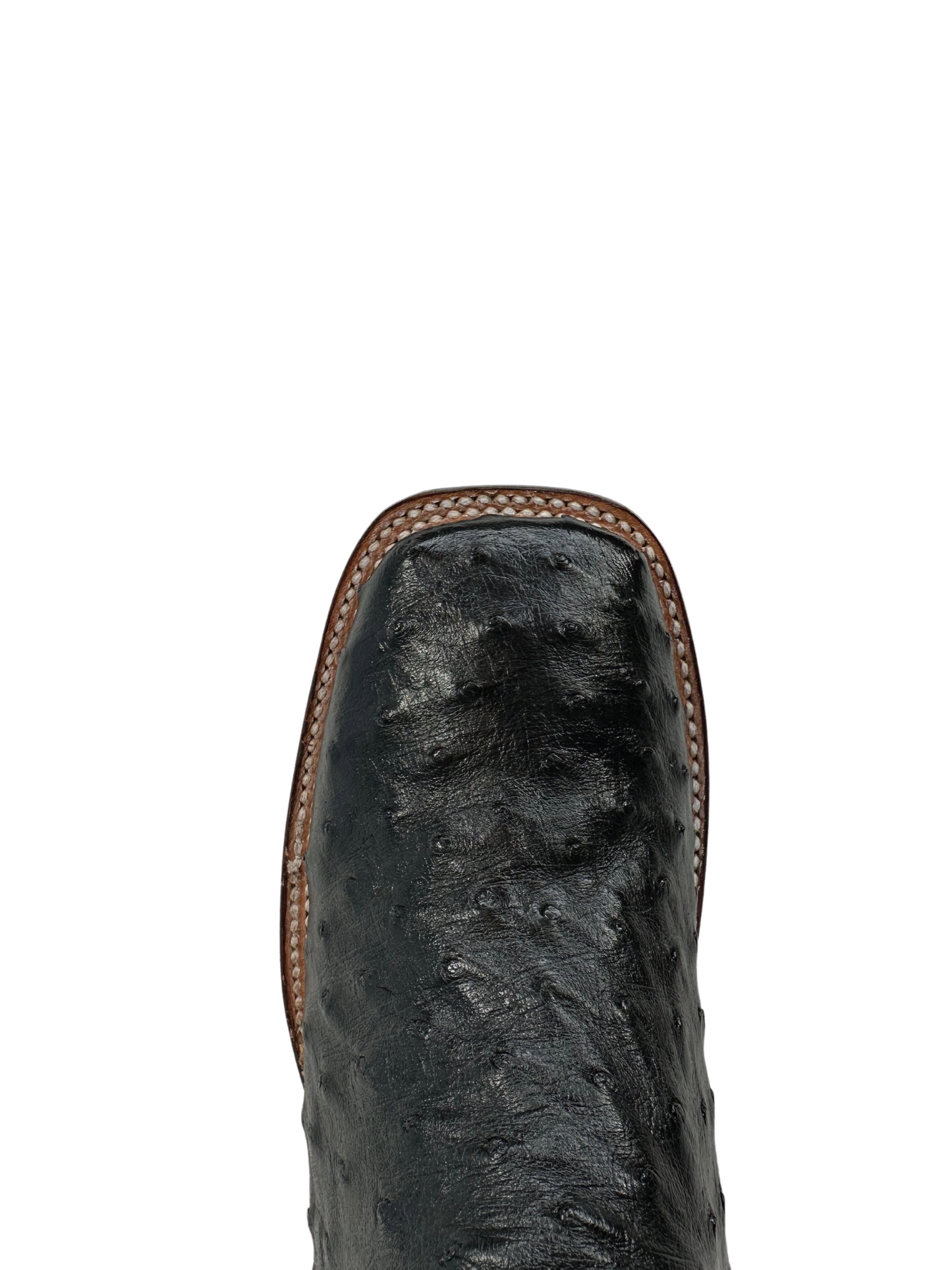 Wild West Black Genuine Ostrich Ranch Toe Boot