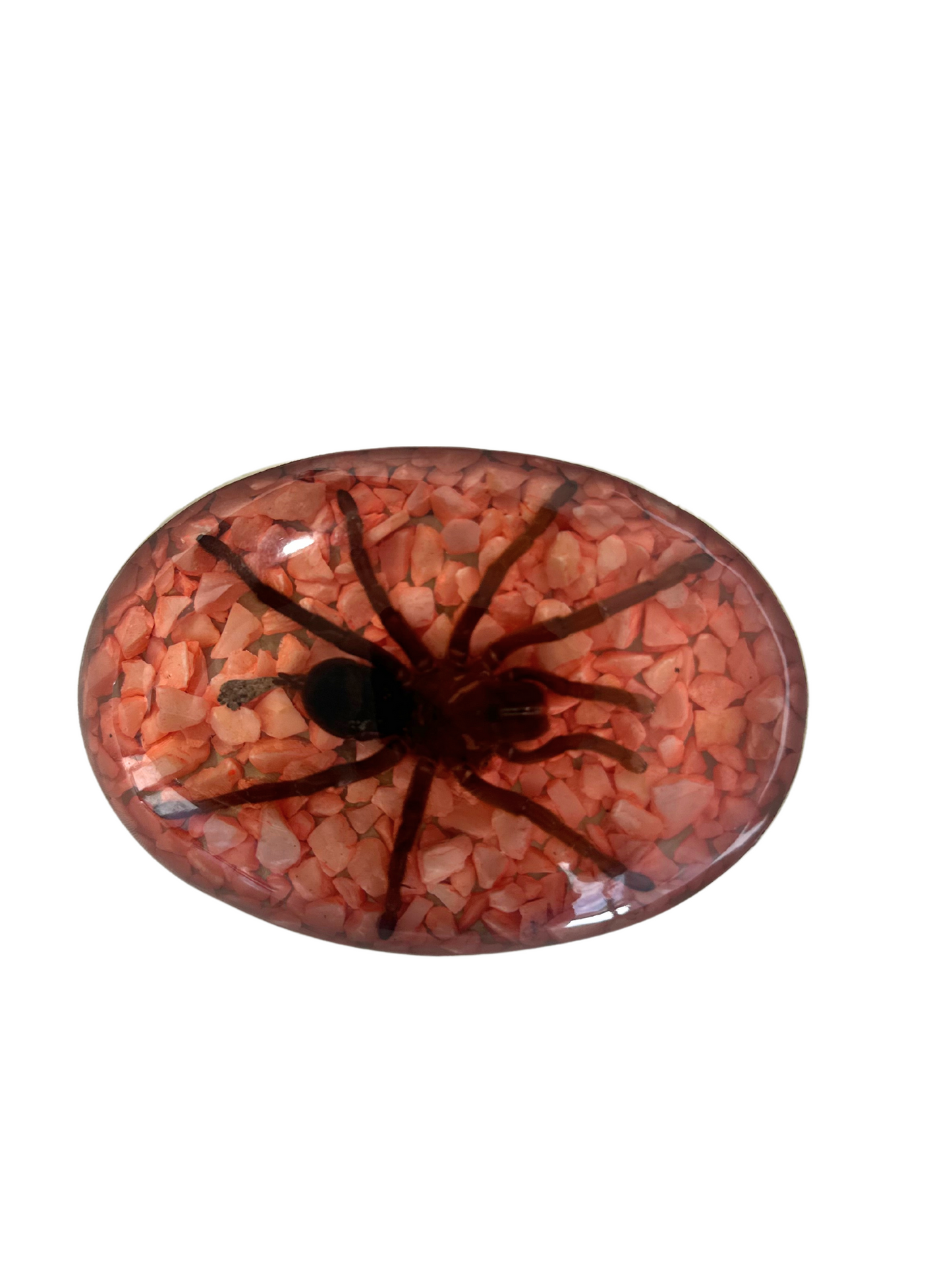 Tarantula Spider Buckle
