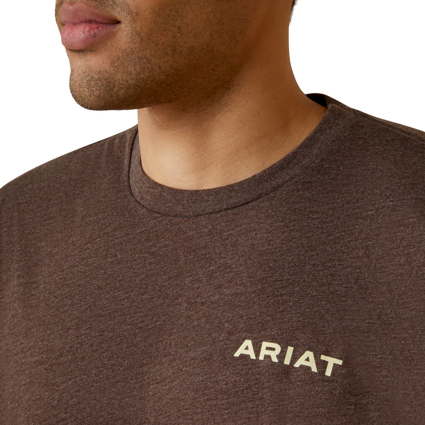 Ariat Retro Stripe Brown T-Shirt