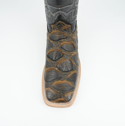 Reyme Men's Piraruco Print Black-Gold Wide Square Toe Boot