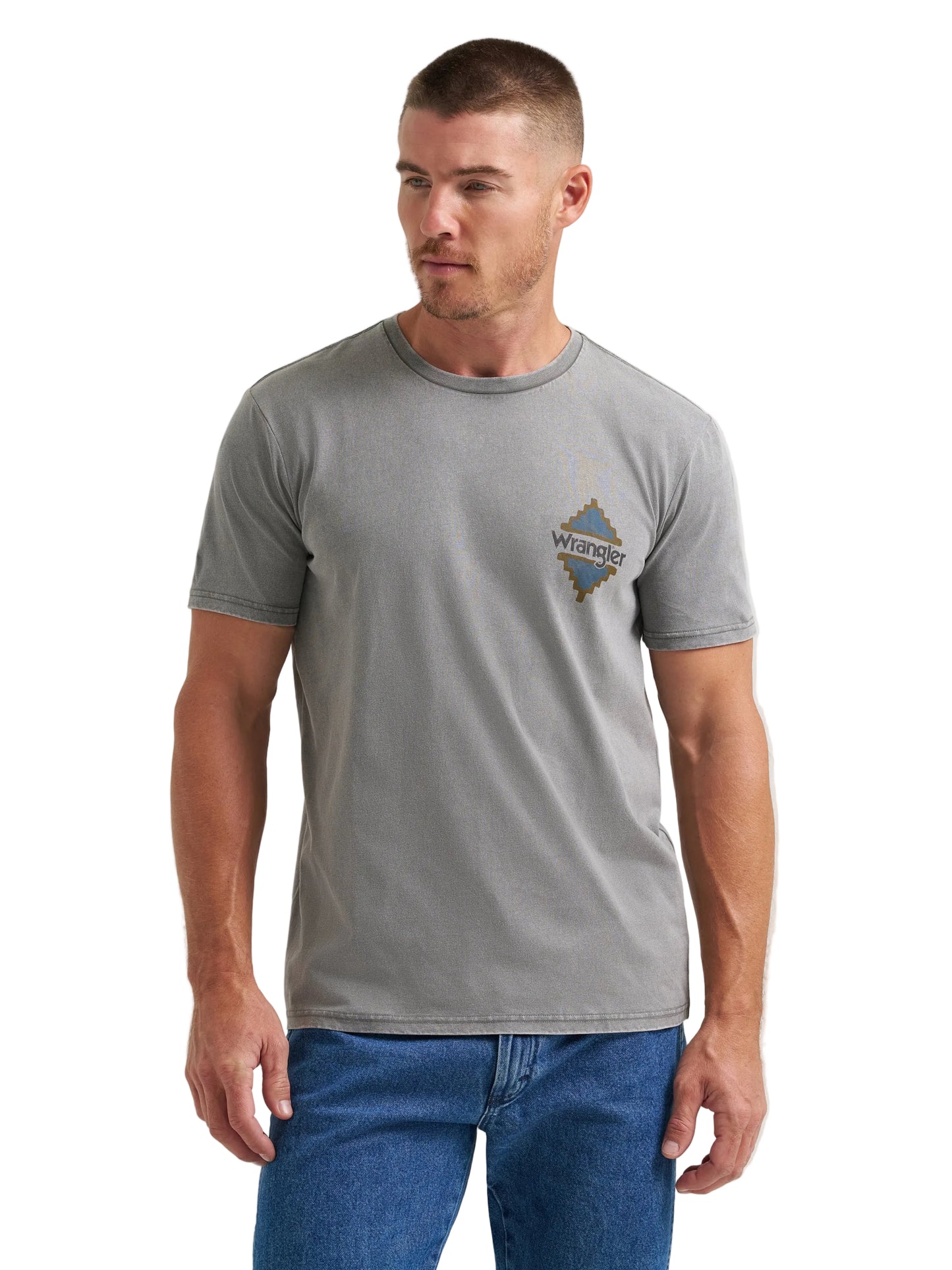Wrangler Men's Steer Skull Back Graphic T-Shirt - Grey Heather
