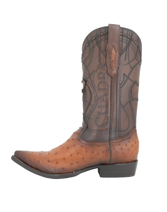 Cuadra Men's Genuine Ostrich Snip Toe Boot - Brown Honey